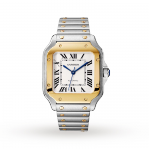 Santos de Cartier watch Medium model automatic yellow gold and steel interchangeable metal and leather bracelets
