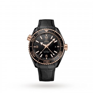 Omega Seamaster Planet Ocean 600m Co-Axial GMT 45.5mm Mens Watch O21563462201001