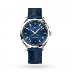 Omega Seamaster Aqua Terra 150m Co-Axial 41mm Mens Watch O22013412103001