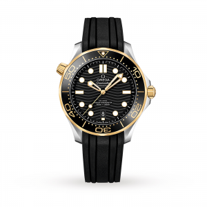 Omega Diver 300m Co-Axial 42mm Mens Watch O21022422001001