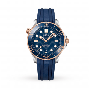 Omega Diver 300m Co-Axial 42mm Mens Watch O21022422003002