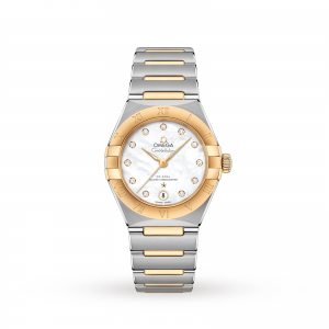 Omega Diver 300m Co-Axial 42mm Mens Watch O13120292055002